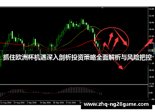 抓住欧洲杯机遇深入剖析投资策略全面解析与风险把控